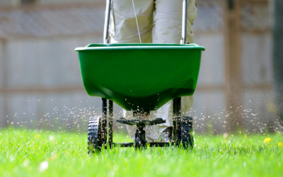 TOP SERVICES FOR APRIL… Lawn Care, Grub Control, Mosquito Control, Flea/Tick Control, and Floral Displays…