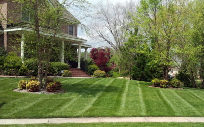 What To Know Before Hiring Lawn Care and Landscaping Professionals…
