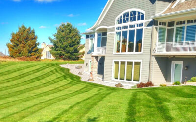 Late Summer Lawn Care Tips: Keeping Your Lawn Healthy and Beautiful…